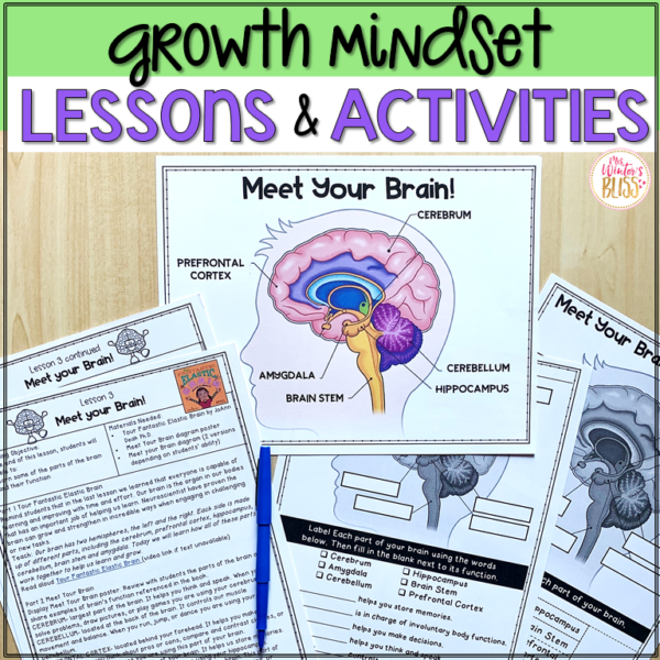 Growth Mindset Activities and Lessons - Lead in Literacy - Resources ...