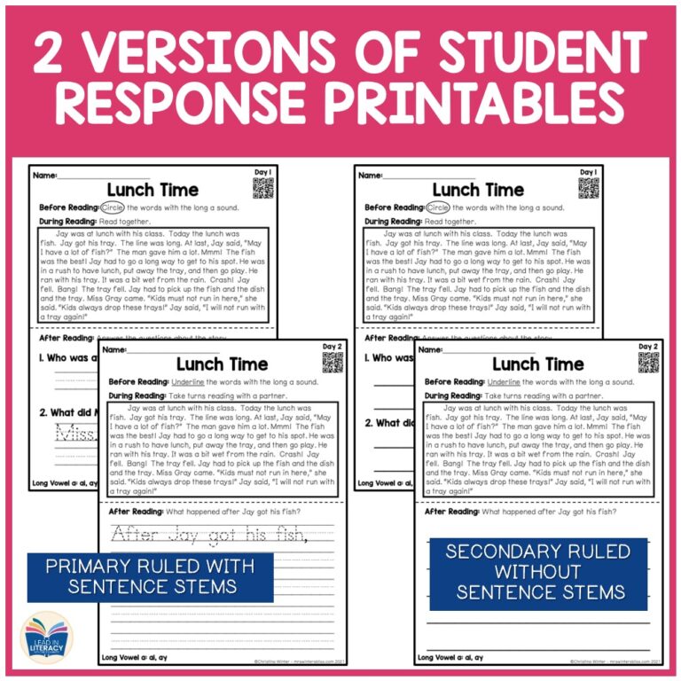 Decodable Passages with Comprehension Questions - Bundle - Lead in ...