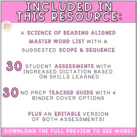 Kindergarten Word Study Assessments EDITABLE {year-long} - Lead in ...