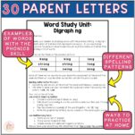 Kindergarten Word Study Printables & Assessments BUNDLE - editable ...