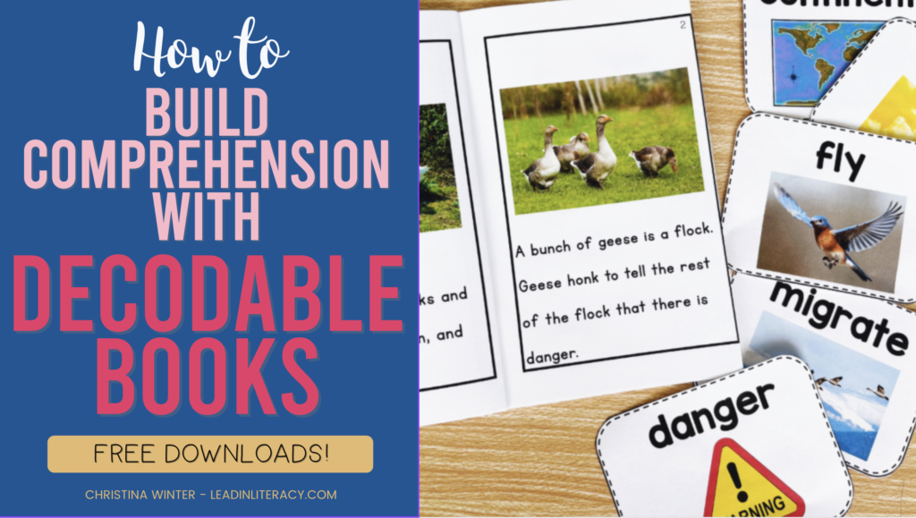 Get tips for how improve reading comprehension in the K-2 classroom. 
